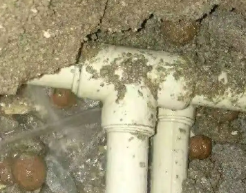 金沙测漏水多少钱