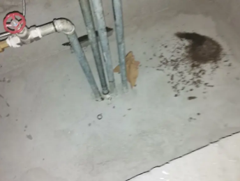 金沙卫生间测漏水价格明细