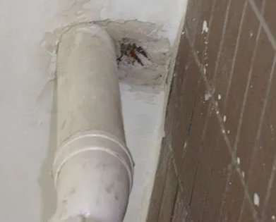 金沙漏水检测哪家好